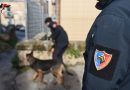 Palermo – I carabinieri sequestrano armi e droga